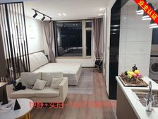 区总力荐+好赞好房+房东急置换+附带30万精装+价格可谈?