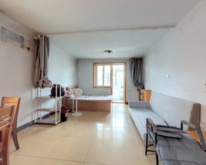 毛条小区 1室1厅 南 北