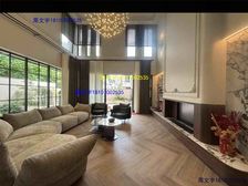 急售 全新豪装未入住 东端户大别墅带大院子 使用面积大 莱电