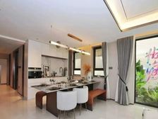 中央别墅区均价仅3万 墅质低密洋房 精装修 诺德安达国际