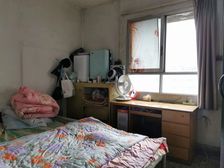 人和jie,纸标未用,刚需三房,全明房