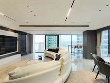 天澜道11号急售丶一线看江大平层丶对望来福士丶俯瞰朝天门大桥