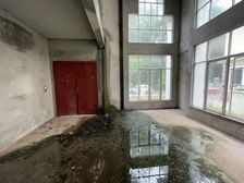 三正半山豪苑(临湖独栋别墅) 配套成熟 高绿化 居住密度低