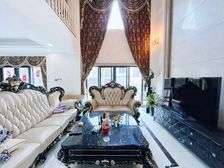 临深万科棠樾 双拼别墅 全明地下室 大花园 可拎包入住