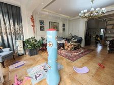 全网醉低价,天彩名苑豪装联排带朝南大花园