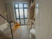 仁恒芯梦公园(楼)独立客厅品牌家居电梯房诚意出售看