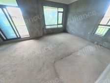 紫金墅别墅 西边套,实用约500平 环绕200平花园