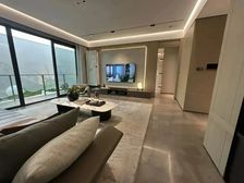 运河CBD洋房 大阳台飘窗 全景大落地窗 同看运河3号地