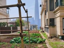 观音桥 板式洋房 带全采光地下室 花园80平 朝南 推荐!