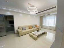 New. 必看(价格可谈丶全新精装)背川外丶 龙珠丶近光环