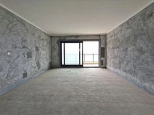 碧桂园中俊天玺 湖景大平层 视野无敌 电梯独立入户