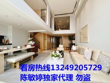 包税带车位 千灯湖CBD 6米明火通燃气旺租4千可拎包入住