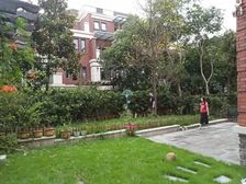 钥匙房,小区中心位置,房型正气,环境优美,简约风格,联排别墅,三房朝南