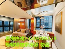 桂城金铂中心 业主出国急售 现价6折诚意出 复式送全屋家私电