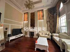 南站附近 玛斯兰德 精装双拼别墅 南花园 北车库 业主急售