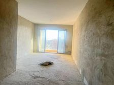 桃源艺境 117.08平3居 南北向毛坯 着急出售