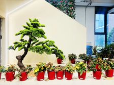 广渠路沿线园区门口独栋丨大气门头可冠名丨广园丨梦谷丨竞园西店