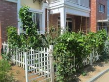 30平加70平花园 一楼110平三居室 小区有大湖能钓鱼