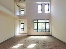 爱琴海商圈 万科大联排 单层110平 能装电梯 带2个大车位