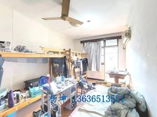 日月光/六院步行可达,模范小区,边套全明