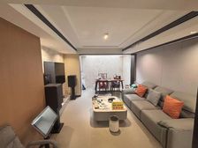 新上叠加别墅 精装修入住一年 随随看房 带花园地下室