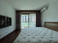 打浦桥品质小区 两梯两户 近田子坊 近医院 双轨交汇 绿化好