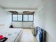 春天花园独立客厅品牌家居电梯房诚意出售看房随时