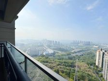 新上!比市场价少20颗丶照母山核芯茜付加人民丶中庭广阔视野