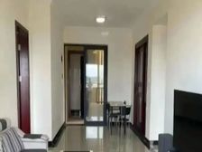 带大平台,可以养花种菜,朝南阳光好