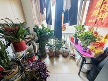 宜禾红橡公园(一期) 3室2厅1卫