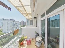 凤凰楼层 中间大花园位置 性价比极 高 无税 诚售 看房随时