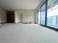 国庆 !中央公园,华润横厅三房双卫,双轻轨,龙湖天街和光环