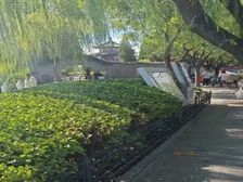 与摄政王做邻居 临海四合院 近水生财 开门见海