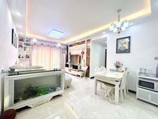 嘉宏松湖里的鱼 双卫格局 临地铁 房龄新 装修好 交通便利