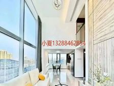 带租4000!业主着急出售 送全屋家私家电 南浦地铁站上盖