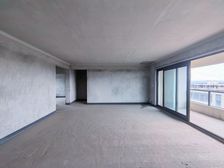 绿地品质纯洋房!看江无遮挡!!10 超大阳台!