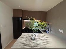 业主精心豪装 一楼带大院子