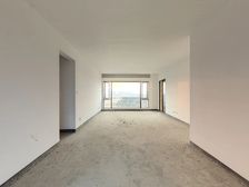 万科虹溪诺雅 4室2厅 350平