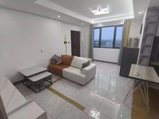 电梯精装 双南两房两厅 拎包入住 采光刺眼 房东诚意售可溢价