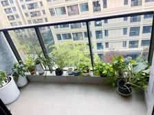 汽博中心 现代风独院别墅 花园100平 单层面积大 一梯一户