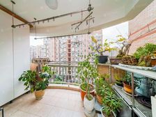 电梯三房!临近文峰!临近五莲路口!户型正气 通透 生活方便!