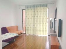 黔灵山公园门口 电梯房 君临天下 正规一室一厅 满五年 急卖