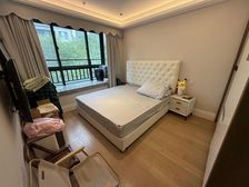 苏河湾板块,三轨交汇,苏州河旁,品质小区