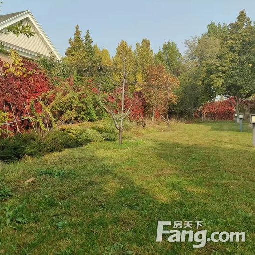 ÕæÊµÁÙºþС¶À¶°±ðÊû,Ôº¶ù800ƽÃ×