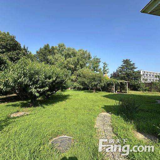 ÕæÊµ±ÌË®ÈýÆÚÁÙºþС¶À¶°,Ôº¶ù1000ƽÃ×