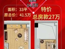市中核心位置 买一层送一层复式公寓 底价甩卖 抓紧来抢啊