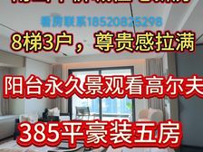深圳核心 天幕传世大宅386平大5房 顶豪圈层 无可复制资产