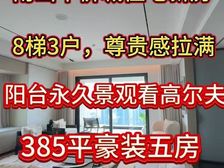 深圳核心 天幕传世大宅386平大5房 顶豪圈层 无可复制资产