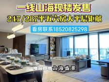 南山海上世界地铁口一手新房 背山面海 来电享有惊喜 高端豪宅