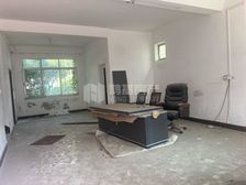 急售!送院子 露台 青山湖万达 天香园 南洋花园旁独栋别墅